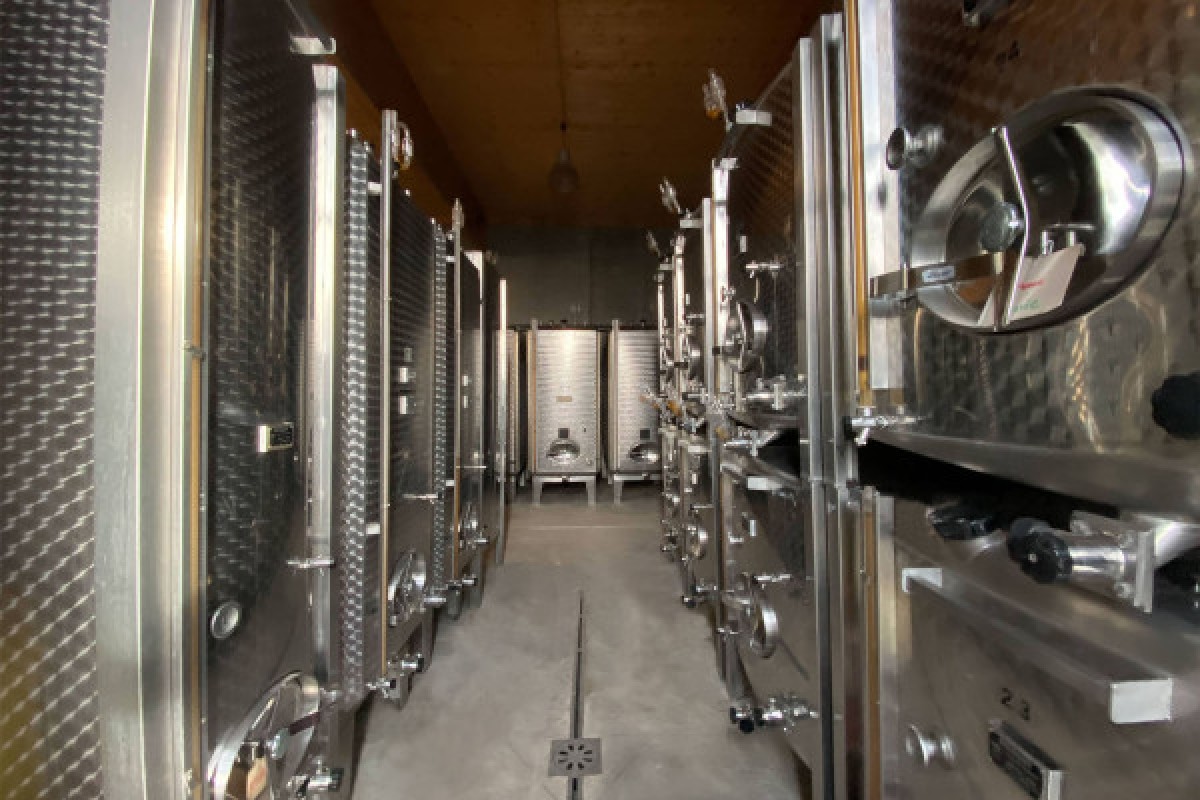 Kellerbesichtigung & Verkostung elsässischer Weine in weiblicher Form - Exploregion