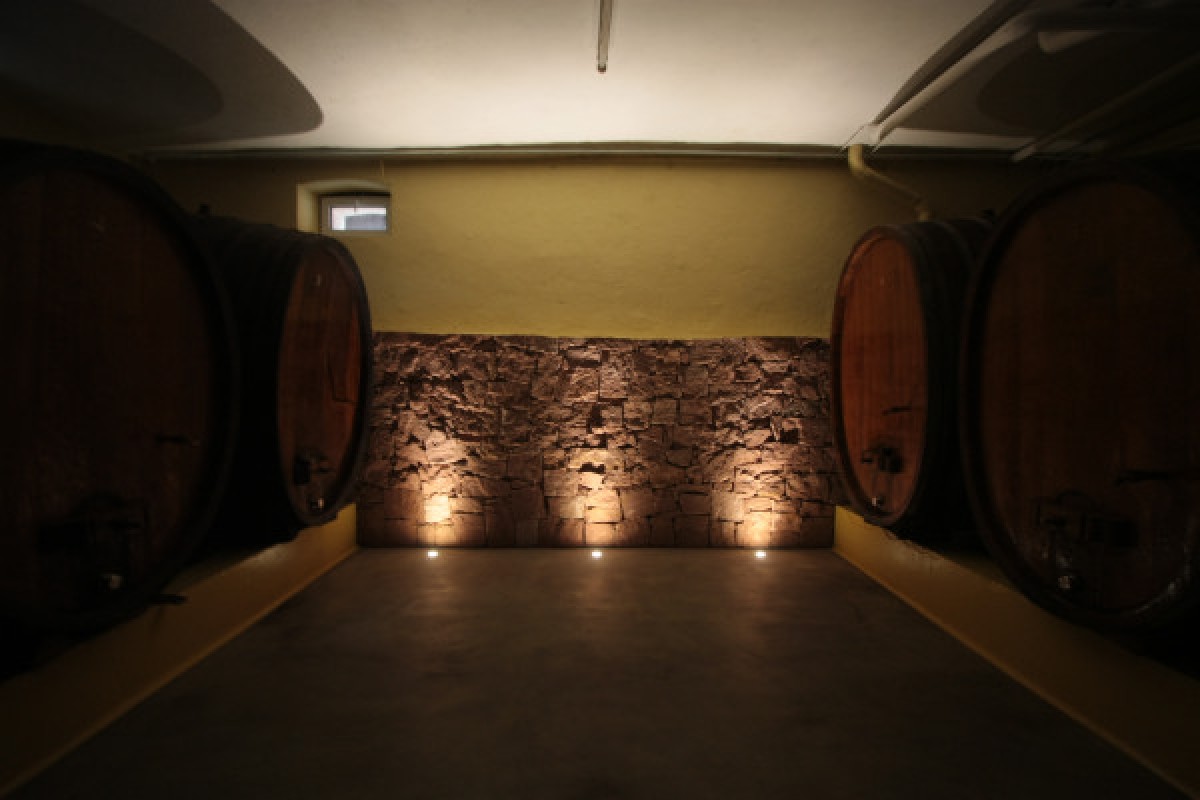 Traditioneller Besuch & Weinprobe - 5 Rebsorten - Exploregion