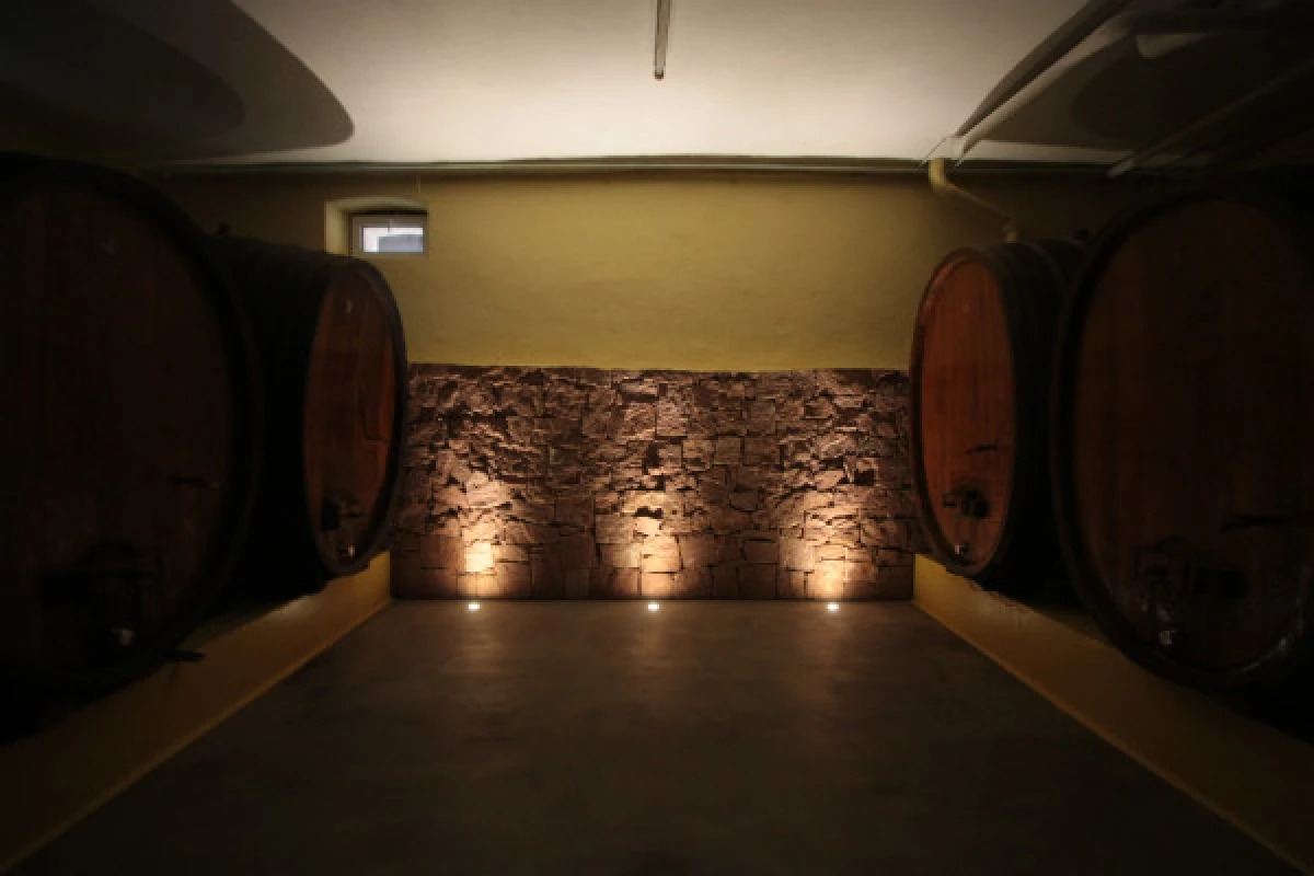 Traditioneller Besuch & Weinprobe - 5 Rebsorten - Exploregion
