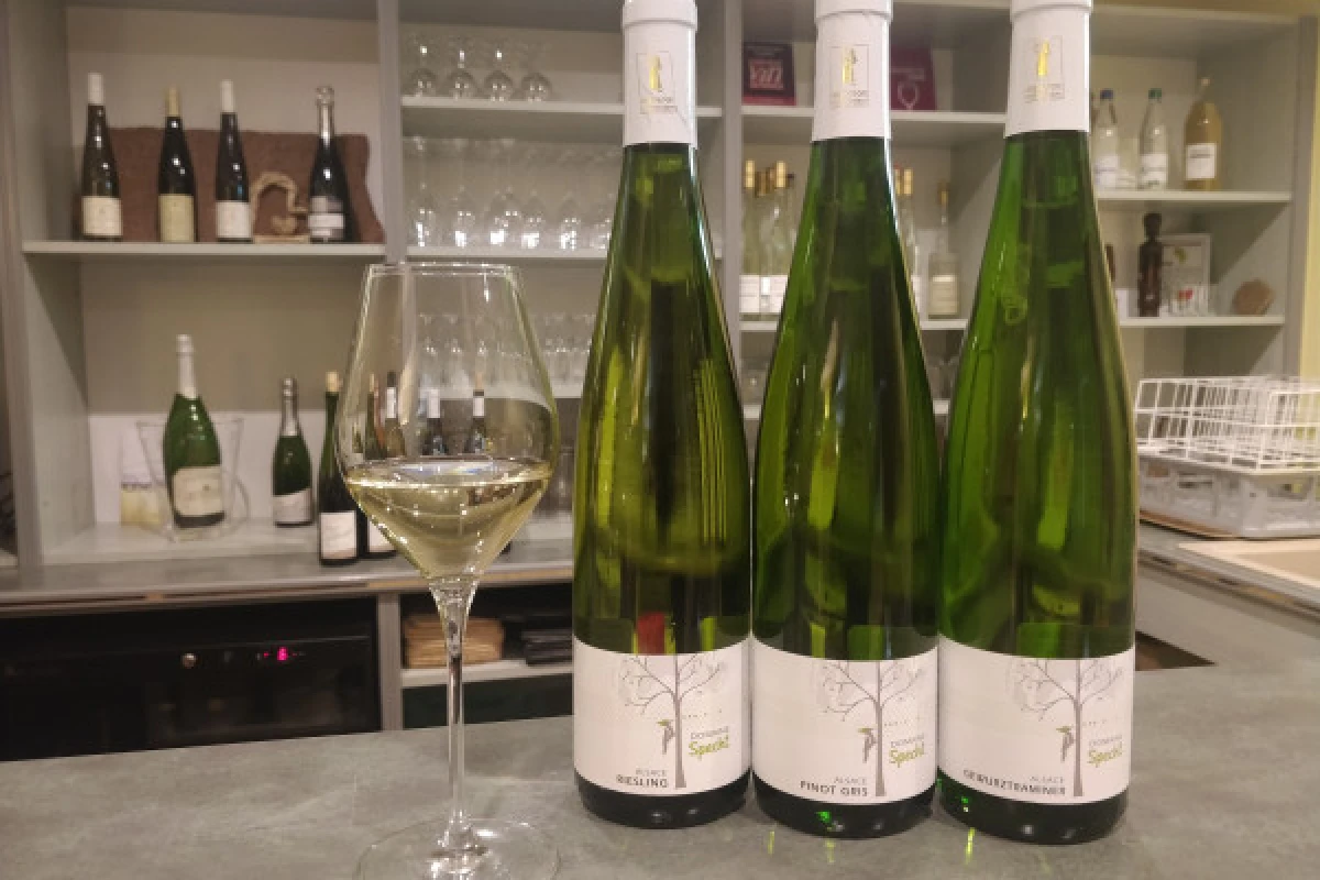 Traditioneller Besuch & Weinprobe - 5 Rebsorten - Exploregion