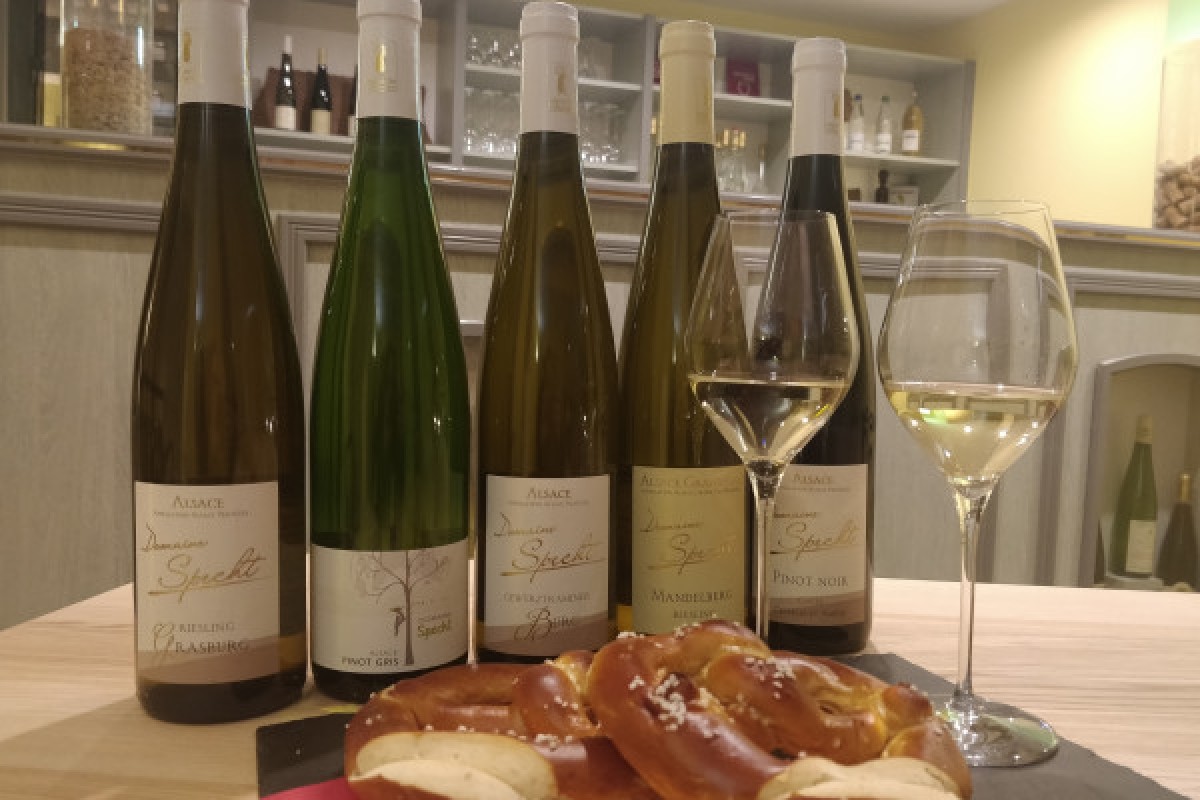 Traditioneller Besuch & Weinprobe - 5 Rebsorten - Exploregion