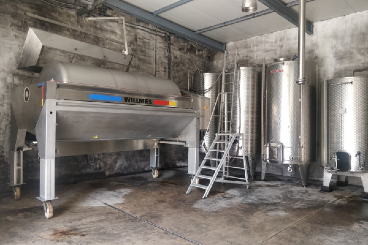 Traditioneller Besuch & Weinprobe - 5 Rebsorten - Exploregion