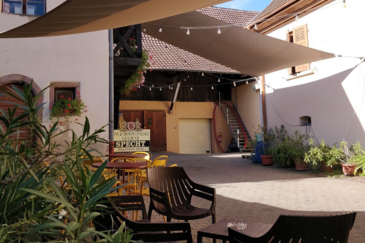 Traditioneller Besuch & Weinprobe - 5 Rebsorten - Exploregion