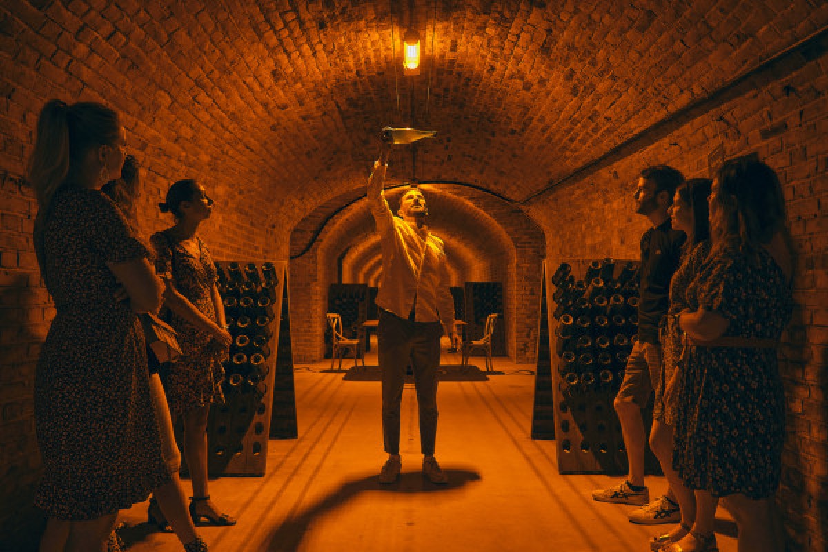 Cellar visit and tasting class - Exploregion