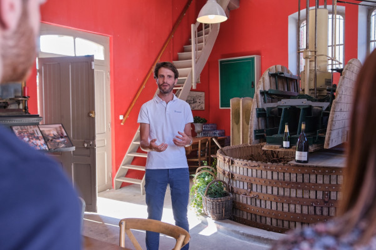 Cellar visit and tasting class - Exploregion