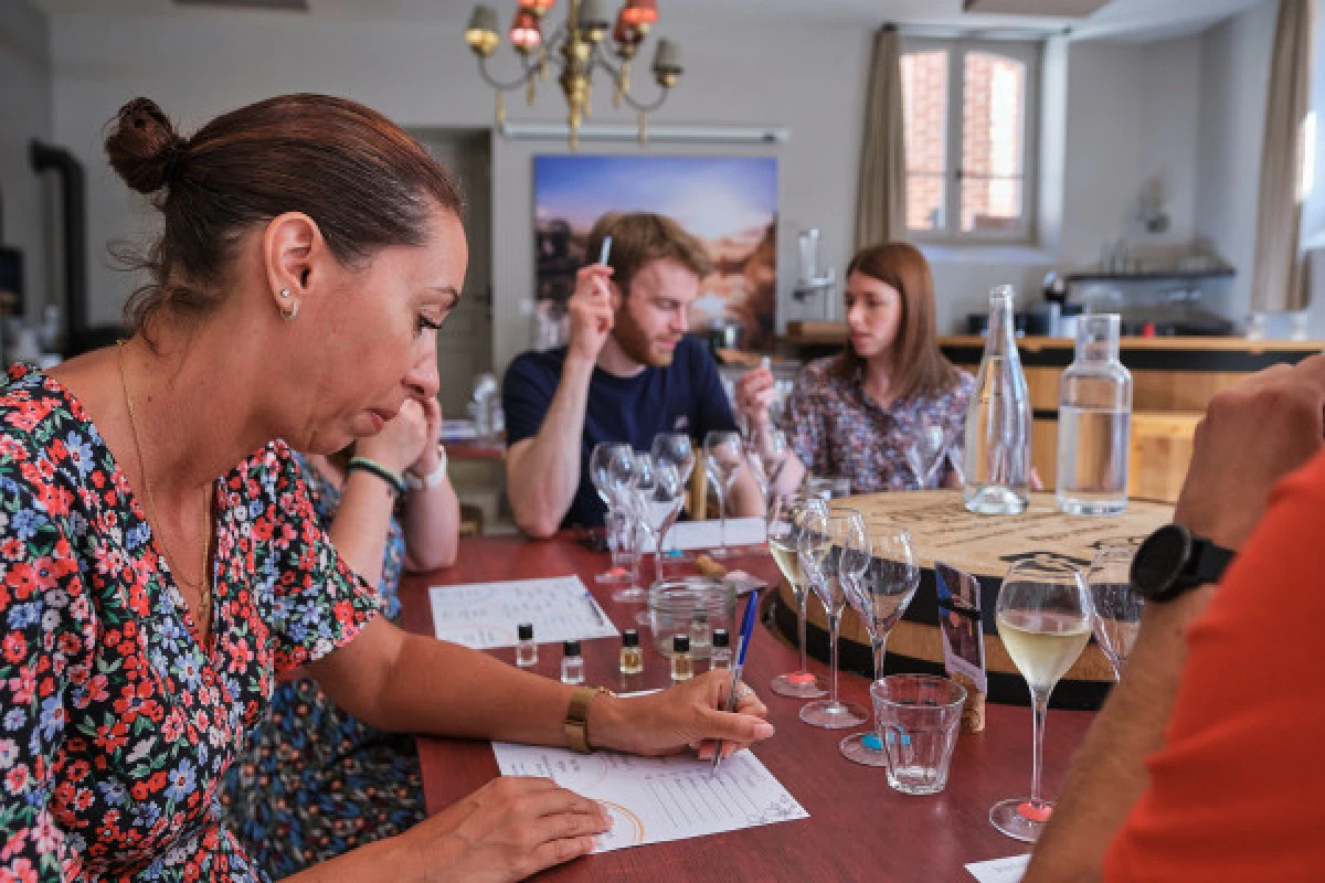 Cellar visit and tasting class - Exploregion