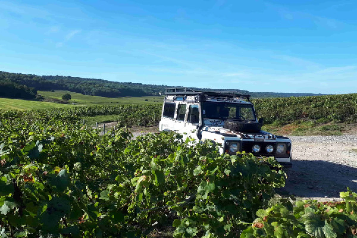 La Champenoise  Wine tourism 1/2 day - Exploregion