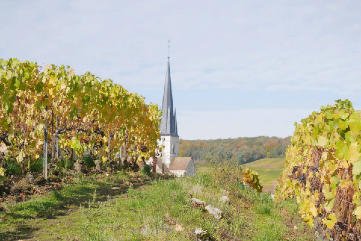 La Champenoise  Wine tourism 1/2 day - Exploregion