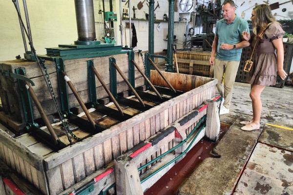 La Champenoise  Wine tourism 1/2 day - Exploregion