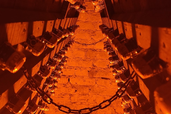 La Champenoise, Visit & tasting Vintage - Exploregion