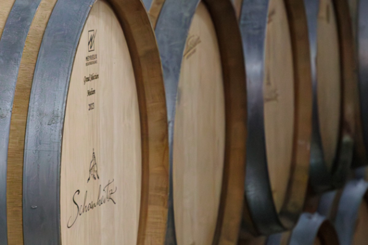 Kellereibesichtigung und Entdeckung der Elsässer Weine - Exploregion