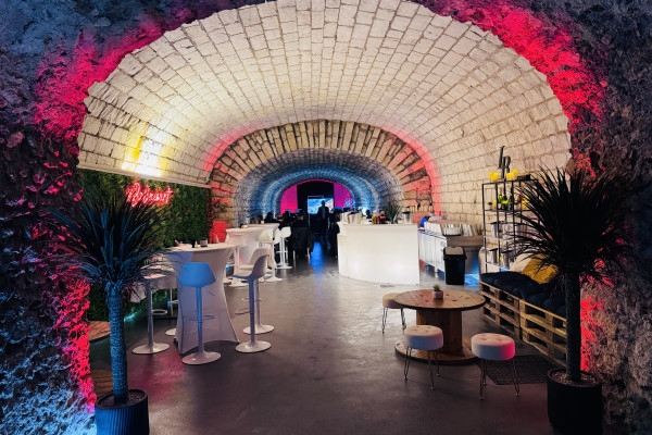 Gallo-roman chalk quarry visit (UNESCO) + 1 tasting - Exploregion