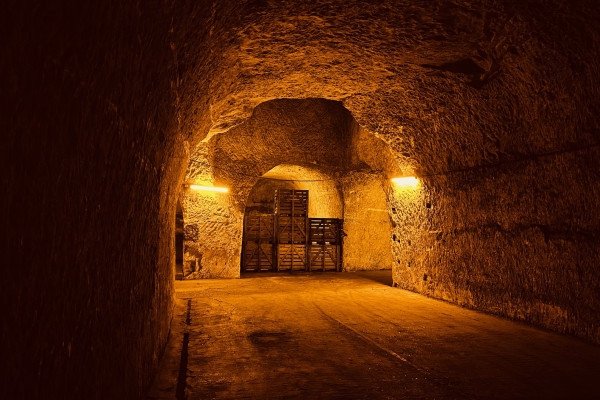 Gallo-roman chalk quarry visit (UNESCO) + 2 tastings - Exploregion