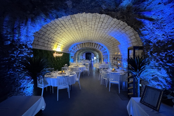 Gallo-roman chalk quarry visit (UNESCO) + 2 tastings - Exploregion