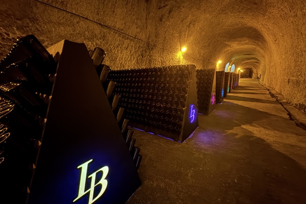 Gallo-roman chalk quarry visit (UNESCO) + 3 tastings - Exploregion