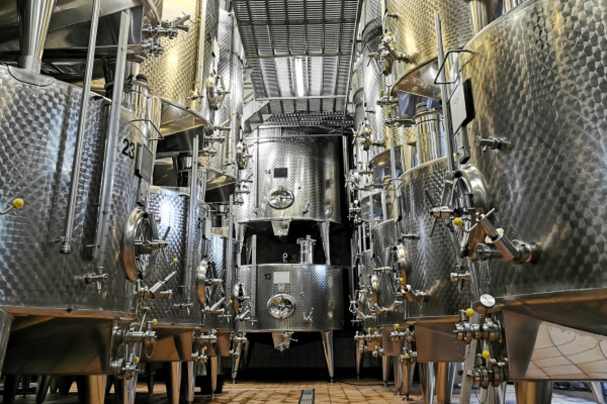 Visita de descubrimiento - Exploregion