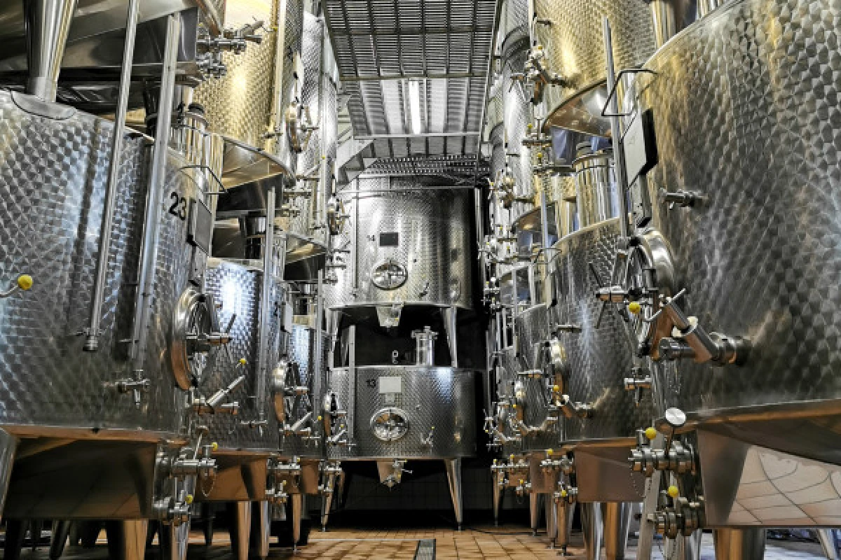 Visita de descubrimiento - Exploregion