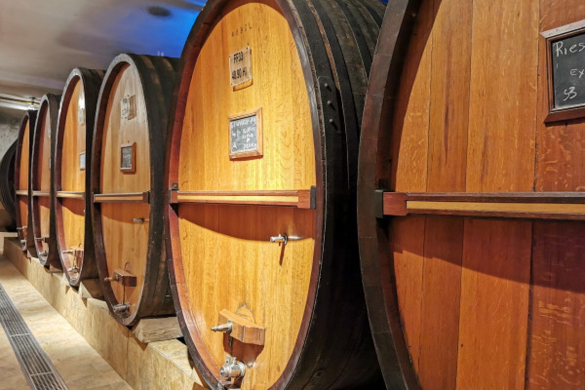 Visita de descubrimiento - Exploregion