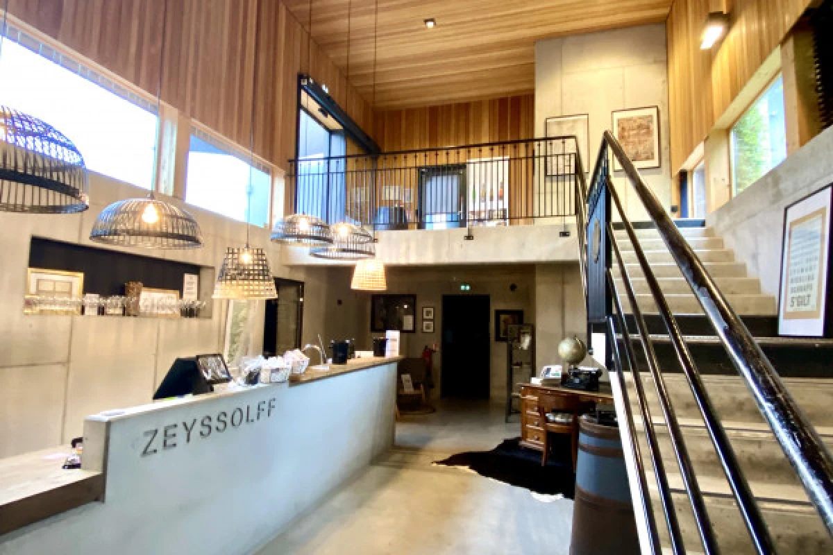 Wine tour, tasting and picnic basket - Exploregion Wine tour, tasting and picnic basket - Exploregion