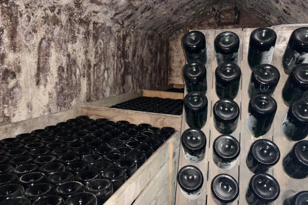 Gastronomy Visit - Champagne Alfred TRITANT - Exploregion