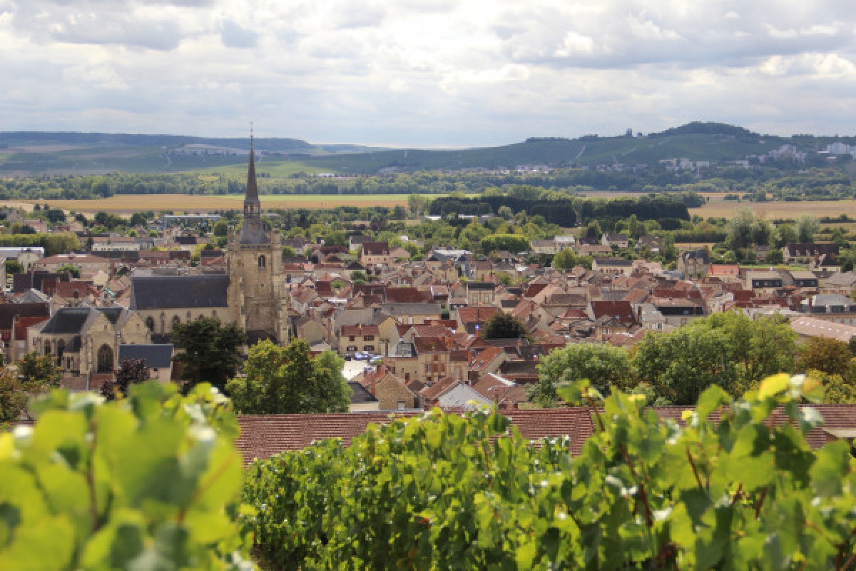 Guided tour of Aÿ-Champagne - Exploregion