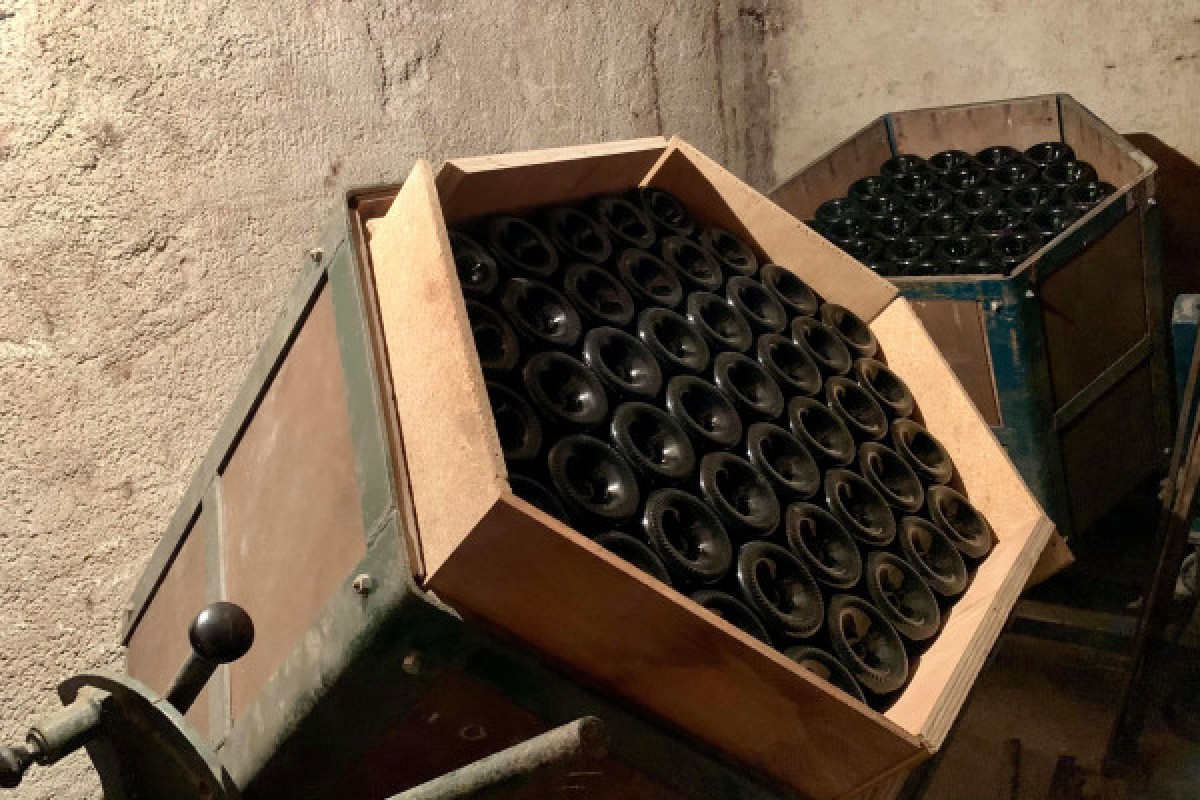 Immersion Visit - Champagne Alfred TRITANT - Exploregion