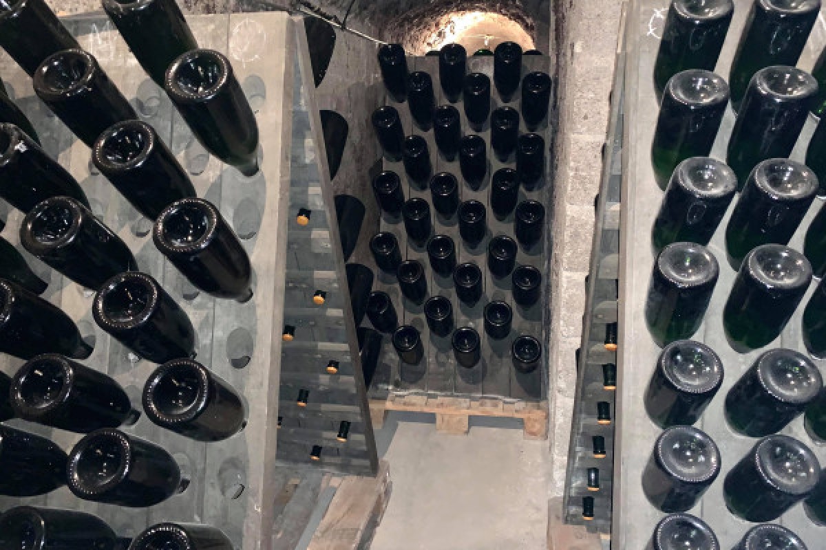 Immersion Visit - Champagne Alfred TRITANT - Exploregion