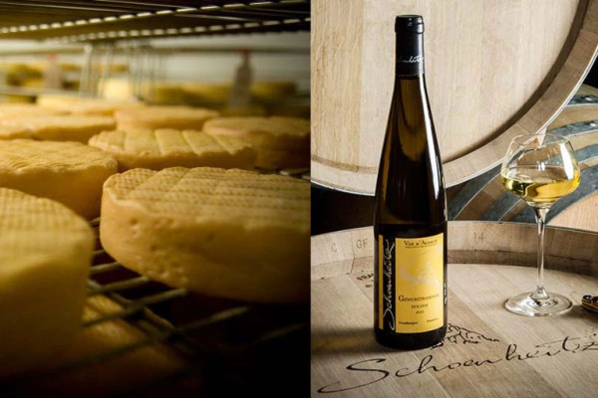 Wein- und Käseverkostung im Münstertal - Exploregion