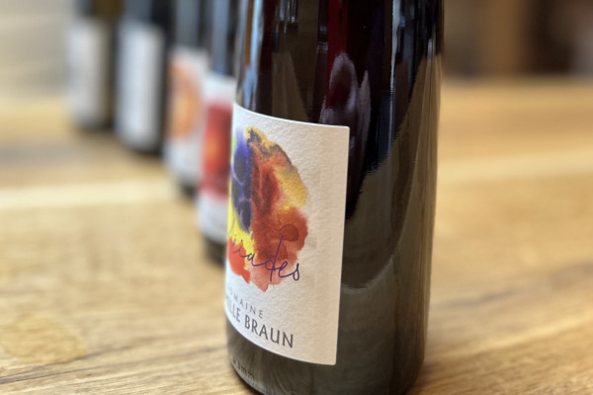 Wonders of Alsatian wine road - Exploregion