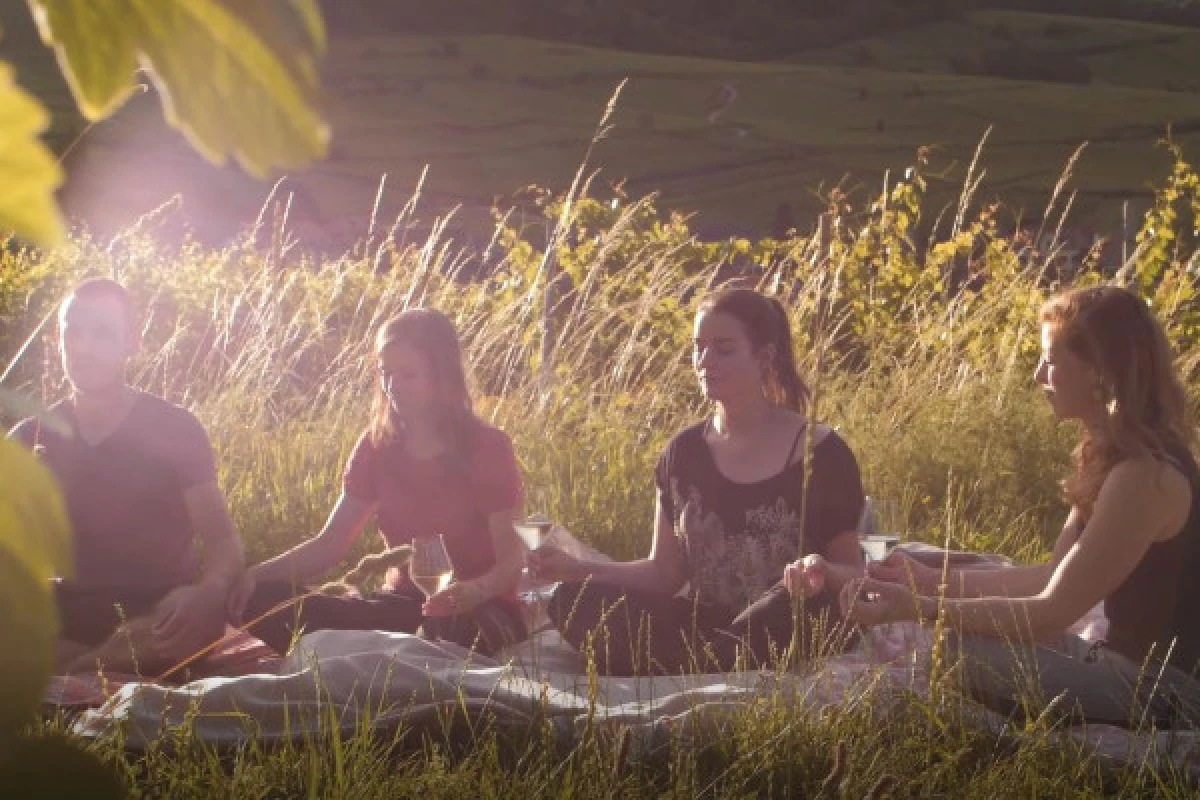 Yoga & Wine - Exploregion