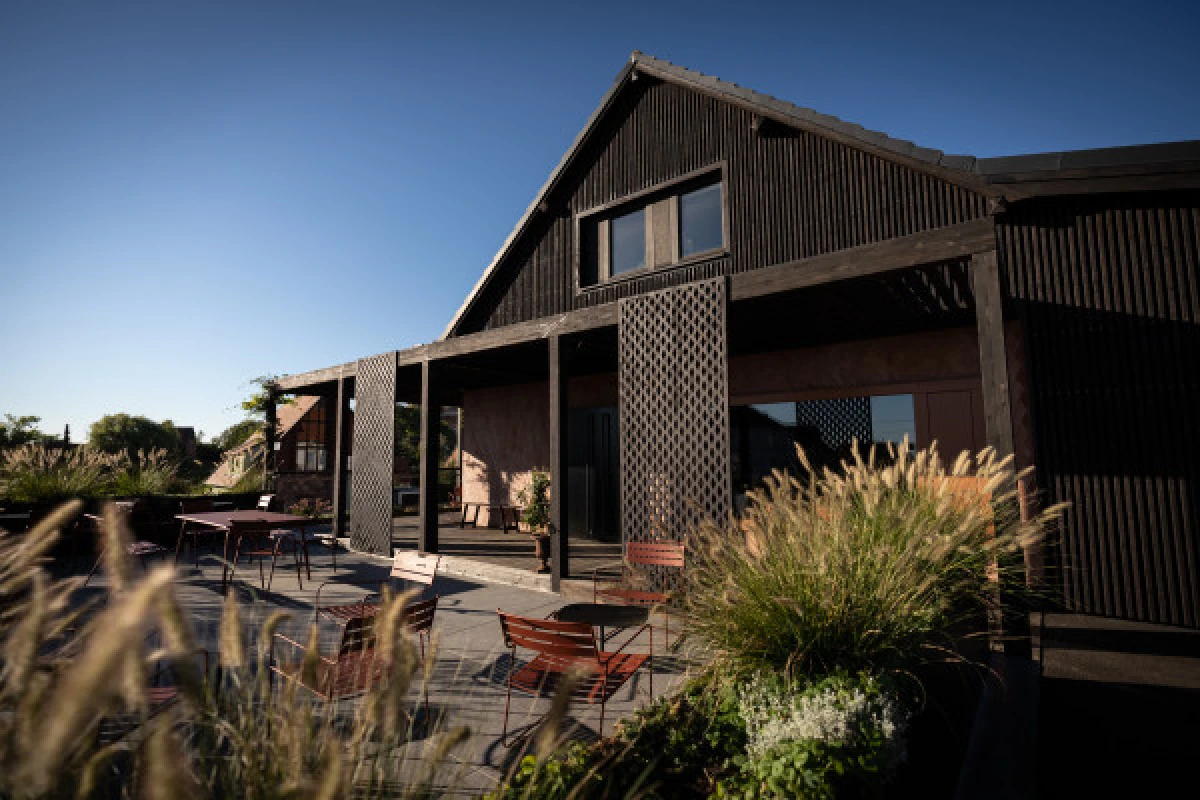 Yoga & Wine - Exploregion